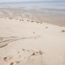 <p>Ocean Vagabond Lassarga : Le Sahara</p>