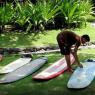 <p> Surf session</p>