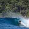 Surf in the jungle