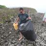 Nettoyage sur l'île de Viligilimathidhahuraa face au spot de Chicken - Copyright Laurent MASUREL