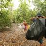 Nettoyage sur l'île de Viligilimathidhahuraa face au spot de Chicken - Copyright Laurent MASUREL